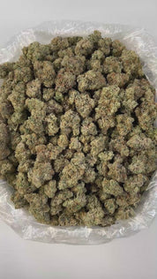 PUFFY Oz Kush is a premium indica-dominant hybrid THCa strain born from the legendary cross of OG Eddy Lepp and ZKZ. The aroma is bold and pungent, with strong gassy notes and sharp chemical undertones, balanced by a crisp, earthy pine finish. The flavor offers a vibrant blend of fruity-sour tones, subtly complemented by hints of honey, smooth vanilla, and a touch of pine for a well-rounded taste. Visually, the buds are tightly packed and generously coated in sticky resin, showcasing a striking blend 