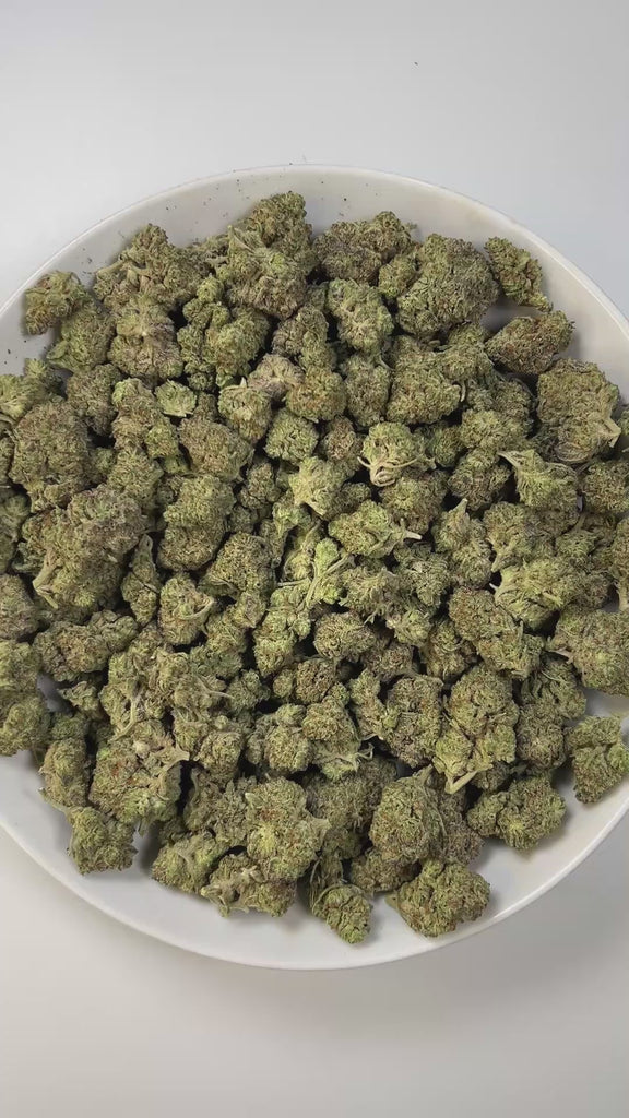 PUFFY King Gelato is an indica-dominant hybrid THCa strain, created from the potent pairing of High Octane and Curelato. The aroma exudes a rich blend of creamy sweetness layered with notes of chocolate and a smooth, buttery finish. Visually, the dense buds showcase deep forest greens with dark accents, bright orange pistils, and a thick layer of sparkling trichomes. Consumers often describe an invigorating yet soothing experience, where a euphoric body eases tension while sharpening focus and lifting the m