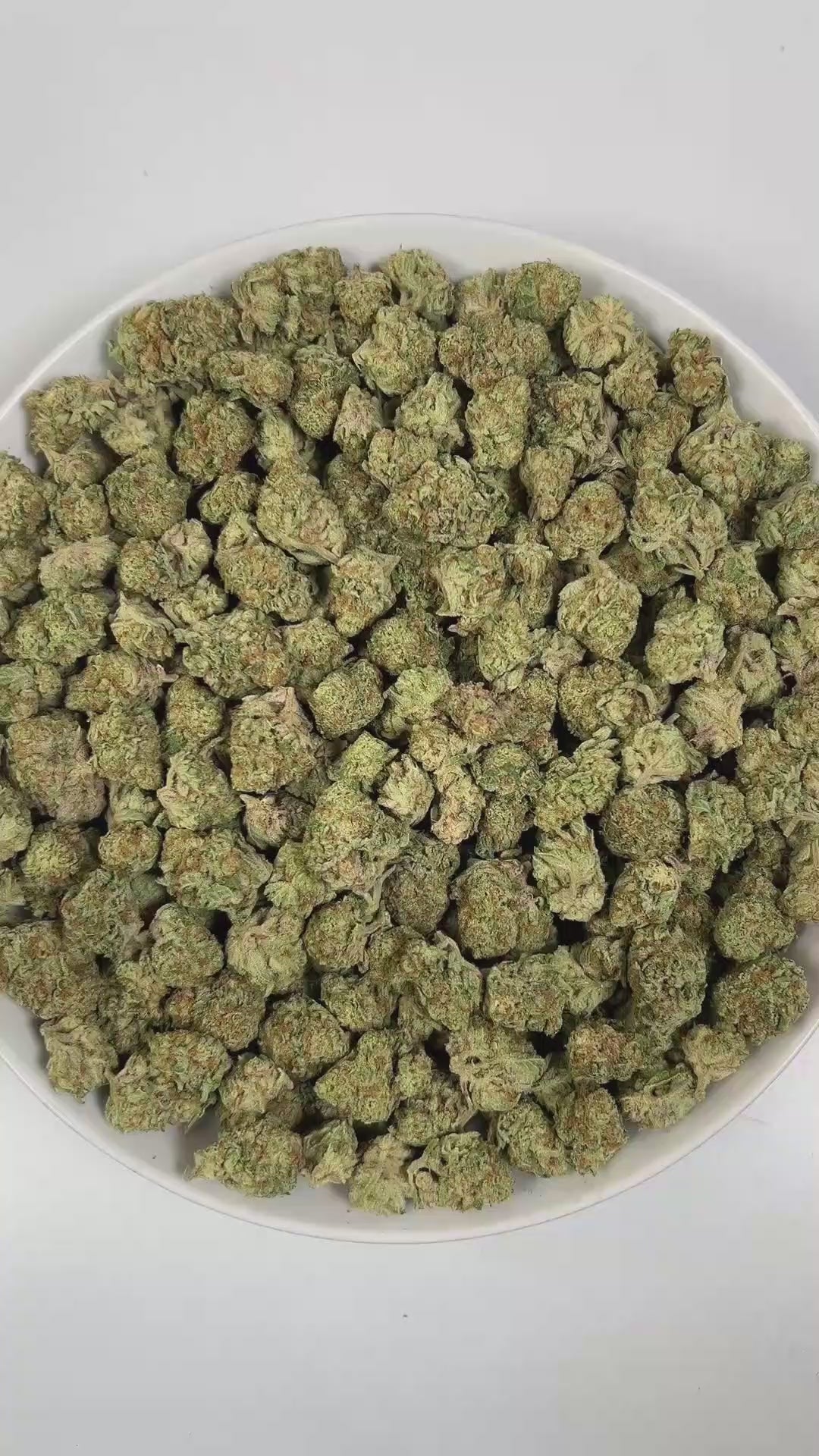 PUFFY Papaya Punch is an indica-dominant hybrid THCa strain crafted from the flavorful union of Papaya and Purple Punch. The aroma is zesty and lively, layered with sweet tropical fruit notes and a delicate floral undertone that creates a bright, inviting fragrance. Visually, the buds are dense and heart-shaped, showcasing a vibrant forest green color accented by fiery orange hairs and a thick, frosty coating of milky amber trichomes. Consumers often report a smooth high, beginning with a gentle cerebral up