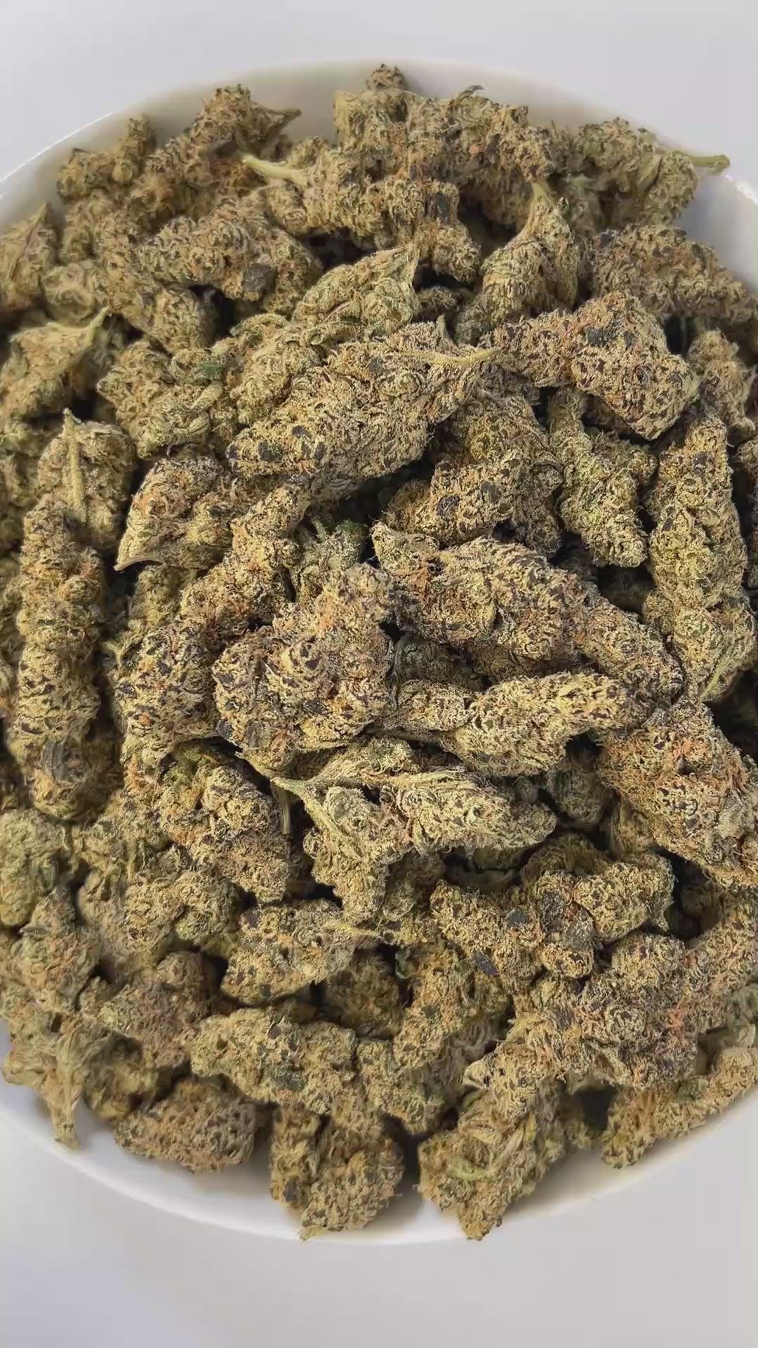 PUFFY Gelonade is a sativa-dominant hybrid THCa strain created by crossing Lemon Tree with Gelato #41. The aroma is a bold blend of sharp gas, fresh herbal notes, and a hint of rich cedar, creating a complex and invigorating scent profile. Visually, the buds have a dense, grape-like structure, showcasing lime-green tones with purple hues and orange pistils, all coated in glistening trichomes. Consumers often report a bright, uplifting experience with a clear-headed cerebral buzz that boosts creativity, focu