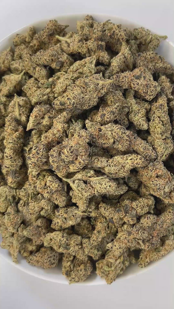 PUFFY Gelonade is a sativa-dominant hybrid THCa strain created by crossing Lemon Tree with Gelato #41. The aroma is a bold blend of sharp gas, fresh herbal notes, and a hint of rich cedar, creating a complex and invigorating scent profile. Visually, the buds have a dense, grape-like structure, showcasing lime-green tones with purple hues and orange pistils, all coated in glistening trichomes. Consumers often report a bright, uplifting experience with a clear-headed cerebral buzz that boosts creativity, focu