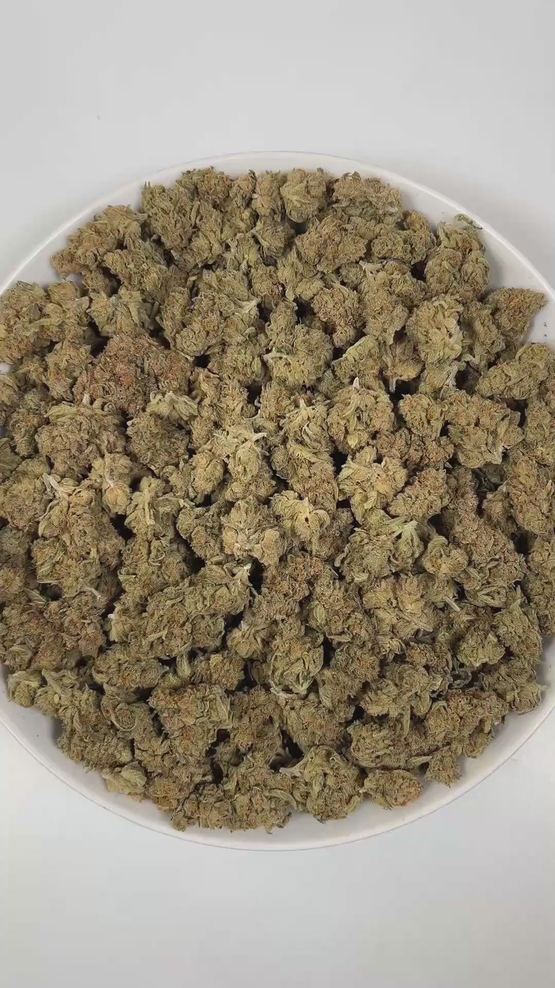 PUFFY Big Purps is an indica-dominant hybrid THCa strain, Its lineage is most often traced back to the esteemed Kashmiri genetics. The aroma is a complex blend of musky undertones, herbal freshness, and subtle chemical notes, creating a distinctive and intriguing scent profile. Visually, dense deep green buds with purple hues and fiery orange pistils are coated in sticky trichomes. Consumers often report a deep sense of relaxation and body ease, an uplifted mood or gentle cerebral onset, and increased appet