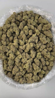 PUFFY Lemon Cherry Gelato is a legendary hybrid THCa strain, expertly crafted from a potent cross between Sunset Sherbet and Girl Scout Cookies. The aroma bursts with sour citrus and fruity notes, softened by earthy, gassy undertones. Its flavor blends zesty lemon, sweet cherry, and berry with a smooth, creamy gelato-like finish. Visually, buds are dense and frosty, featuring deep green and purple hues with bright orange pistils and a thick coating of sparkling trichomes. Consumers often report an initial w