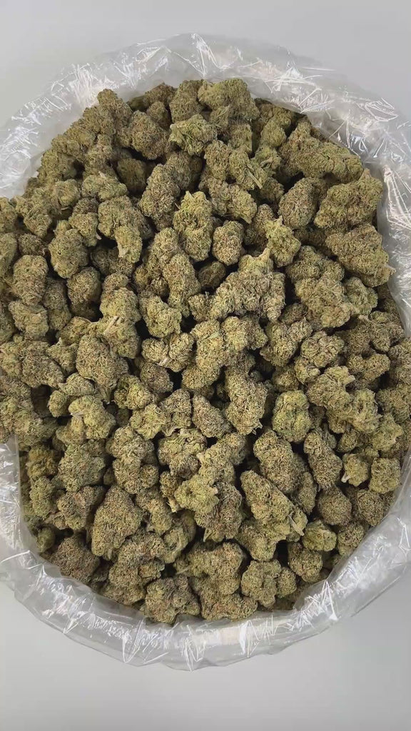 PUFFY Lemon Cherry Gelato is a legendary hybrid THCa strain, expertly crafted from a potent cross between Sunset Sherbet and Girl Scout Cookies. The aroma bursts with sour citrus and fruity notes, softened by earthy, gassy undertones. Its flavor blends zesty lemon, sweet cherry, and berry with a smooth, creamy gelato-like finish. Visually, buds are dense and frosty, featuring deep green and purple hues with bright orange pistils and a thick coating of sparkling trichomes. Consumers often report an initial w