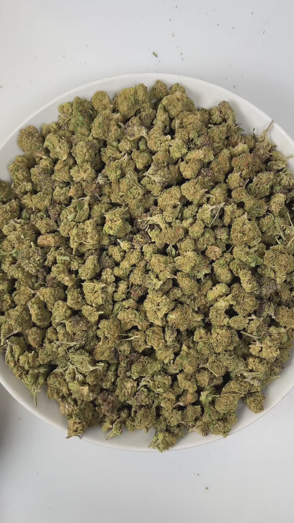 PUFFY Super Sour Nimbus (smalls) is an indica-dominant  hybrid THCa strain, expertly crafted from a potent cross between Super Silver Haze and Sour Diesel. The aroma is a bold fusion of sharp chemicals, zesty citrus, and pungent diesel, creating a striking and unforgettable scent profile. Visually, the buds are dense, featuring green and purple hues, vibrant orange pistils, and a sparkling layer of trichomes. Consumers often report a euphoric, relaxed body high accompanied by improved mood, a sense of happi