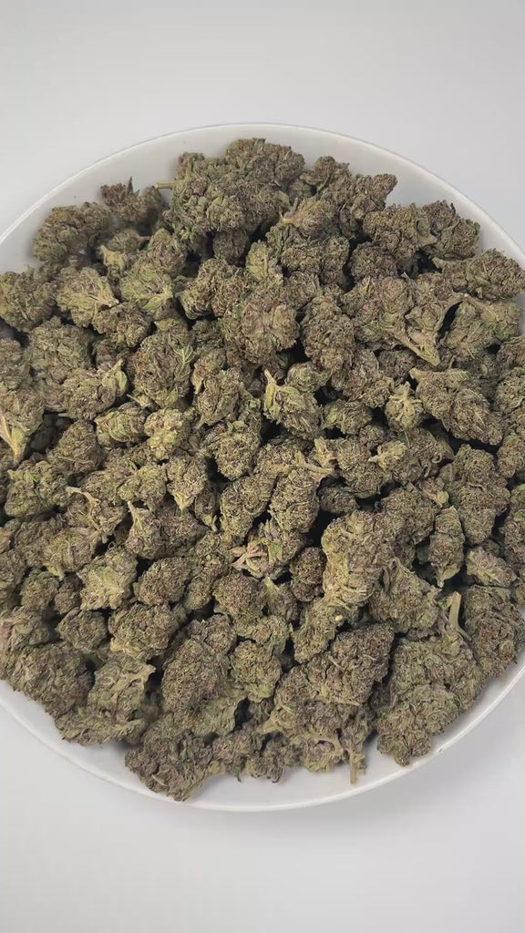 PUFFY Tropical Gelato is a balanced hybrid THCa strain, born from the flavorful cross of Gelato and Pineapple. The aroma combines soothing lavender notes with a skunky sharpness and fresh grassy undertones, creating a unique balance of floral and earthy scents. Visually, the buds are dense with rich green tones, subtle purples, bright orange pistils, and a sparkling frost of trichomes. Consumers often report a bright, euphoric lift that sparks creativity and focus, balanced by a smooth, calming body relaxat
