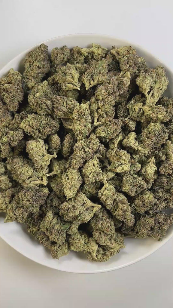 PUFFY Ice Cream Cake is an Indica-dominant hybrid THCa strain, born from the potent cross between Wedding Cake and Gelato #33. The aroma blends delicate floral notes with creamy buttery undertones and a subtle hint of sweet fruit, creating a soft and inviting fragrance. Visually, its buds are dense and chunky, showcasing a vibrant mix of green and purple hues with occasional touches of lavender, accented by fiery orange pistils. Consumers often report an experience that begins with a euphoric, uplifting cer
