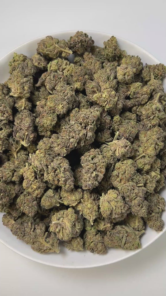 PUFFY Ice Cream Cake is an Indica-dominant hybrid THCa strain, born from the potent cross between Wedding Cake and Gelato #33. The aroma unfolds with rich, comforting notes of sweet vanilla, warm buttery undertones, and a smooth, creamy finish that evokes a decadent, dessert-like essence. Visually, its buds are dense and chunky, showcasing a vibrant mix of green and purple hues with occasional touches of lavender, accented by fiery orange pistils. Consumers often report an experience that begins with a euph
