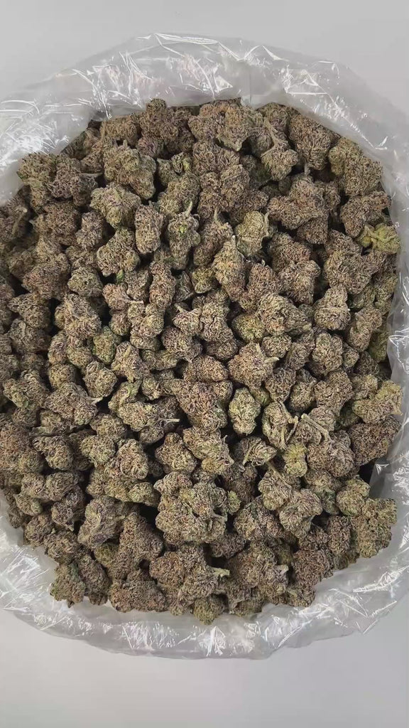 PUFFY Cherry Lemonade is a hybrid THCa strain born from the flavorful cross between Cherry Pie OG and Jack the Ripper. The aroma is a vibrant fusion of sweet cherries and zesty lemons, complemented by delicate floral notes and a sharp chemical edge that gives it a bold and memorable finish. Visually, the buds are striking primarily forest green with deep shades of dark green and rich purple hues. Consumers often describe the experience as uplifting and energizing, promoting creativity and talkativeness. Des