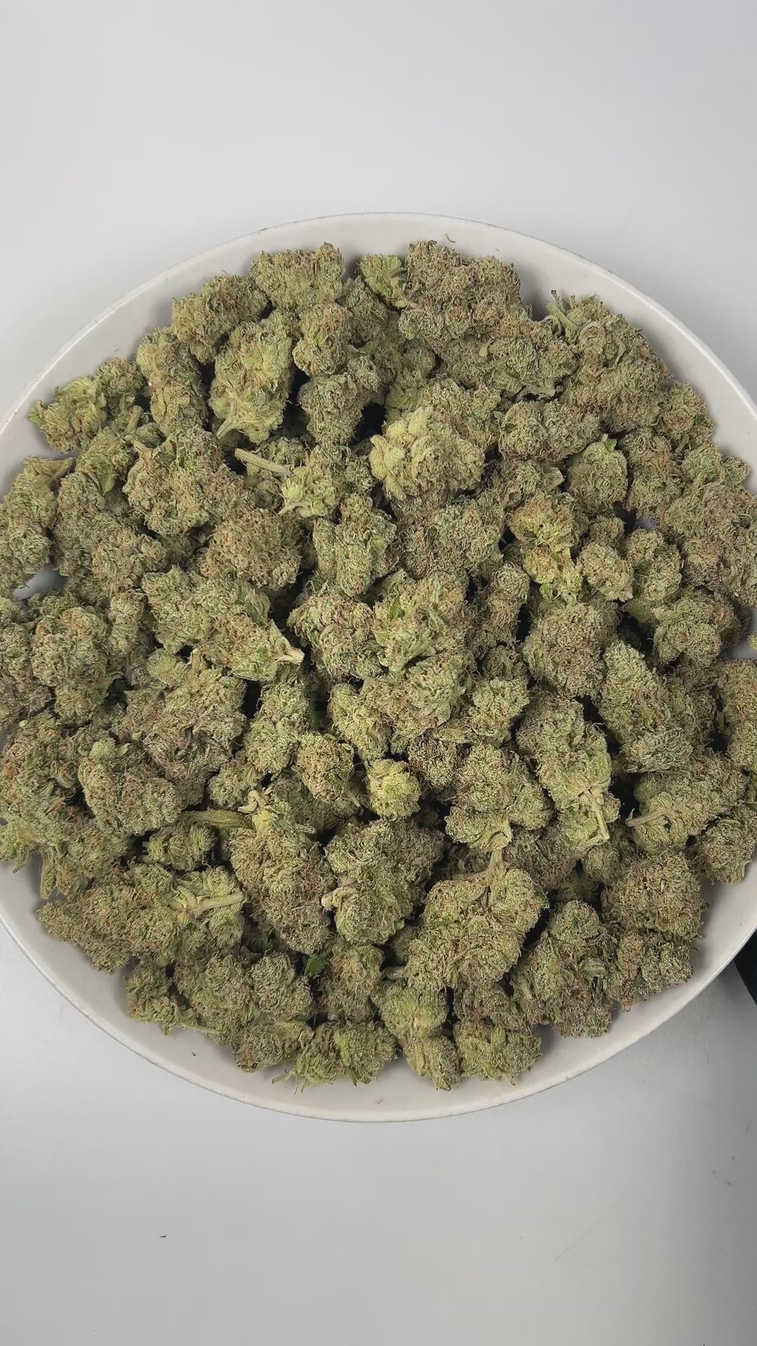 PUFFY Skunk is a balanced hybrid THCa strain, expertly bred from the legendary landrace genetics of Afghani, Acapulco Gold, and Colombian Gold. The aroma bursts with sharp citrus notes, underlined by a rich, fuel-like diesel scent and a bold, pungent undertone that lingers enticingly. Visually, the dense buds display deep green and purple hues, bright orange pistils, and a coating of sparkling trichomes. Consumers often report a focused cerebral high paired with body calm, bringing euphoria, relaxation, cre