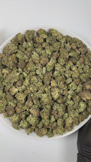 PUFFY Atomic is an indica-dominant hybrid THCa strain created by crossing Chemdawg and OG Kush, then further refined with THC Bomb. The aroma bursts with a sharp, fuel-like intensity, layered with pungent notes and a zesty hint of fresh lime. Visually, the buds are dense and dark forest-green, accented by vibrant orange pistils and a thick coating of glistening trichomes. Consumers often describe an initial wave of uplifting, euphoric cerebral effects that quickly elevate mood and enhance focus, gradually t