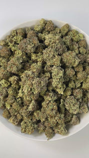 PUFFY Diesel Cookies is a balanced hybrid THCa strain, crafted from the legendary lineage of Girl Scout Cookies (GSC) and Sour Diesel. The aroma carries a strong, gassy punch layered with smooth, creamy undertones. Visually striking, the dense green buds are accented with orange pistils and a frosty trichome finish. Consumers often note an energizing cerebral rush that lifts the mood and sparks creativity, gradually melting into a soothing body relaxation that balances the experience.
