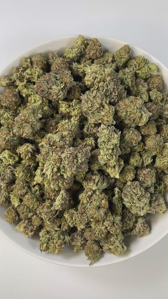 PUFFY Diesel Cookies is a balanced hybrid THCa strain, crafted from the legendary lineage of Girl Scout Cookies (GSC) and Sour Diesel. The aroma carries a strong, gassy punch layered with smooth, creamy undertones. Visually striking, the dense green buds are accented with orange pistils and a frosty trichome finish. Consumers often note an energizing cerebral rush that lifts the mood and sparks creativity, gradually melting into a soothing body relaxation that balances the experience.
