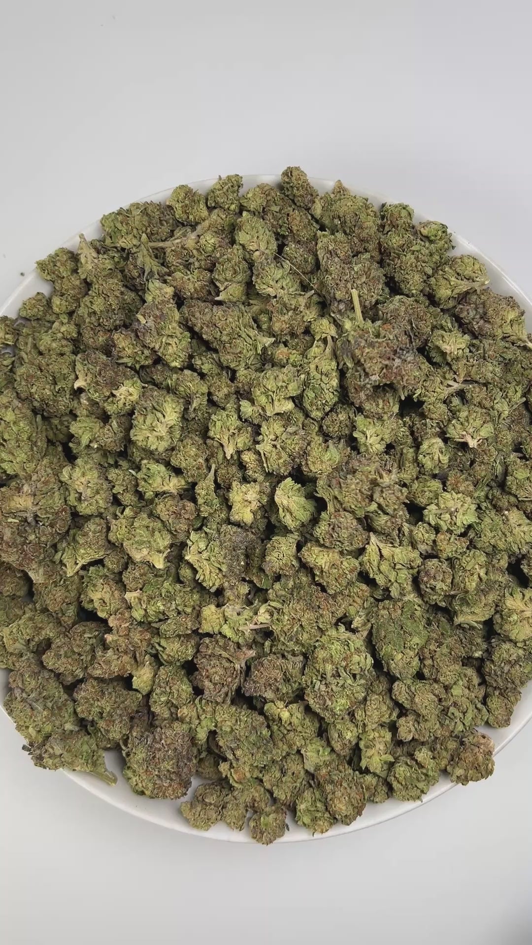 PUFFY L'Orange is a sativa-dominant hybrid THCa strain, born from the flavorful cross of Oregon Lemon and Orange Crush. The aroma bursts with vibrant citrus notes balanced by deep, earthy undertones, finished with a sharp, pungent kick that commands attention and leaves a lasting impression. Visually, the buds are dense, with vibrant forest-green hues, orange pistils, and a heavy coat of frosty white trichomes. Consumers often describe an uplifting and energizing head high that boosts focus, motivation, and