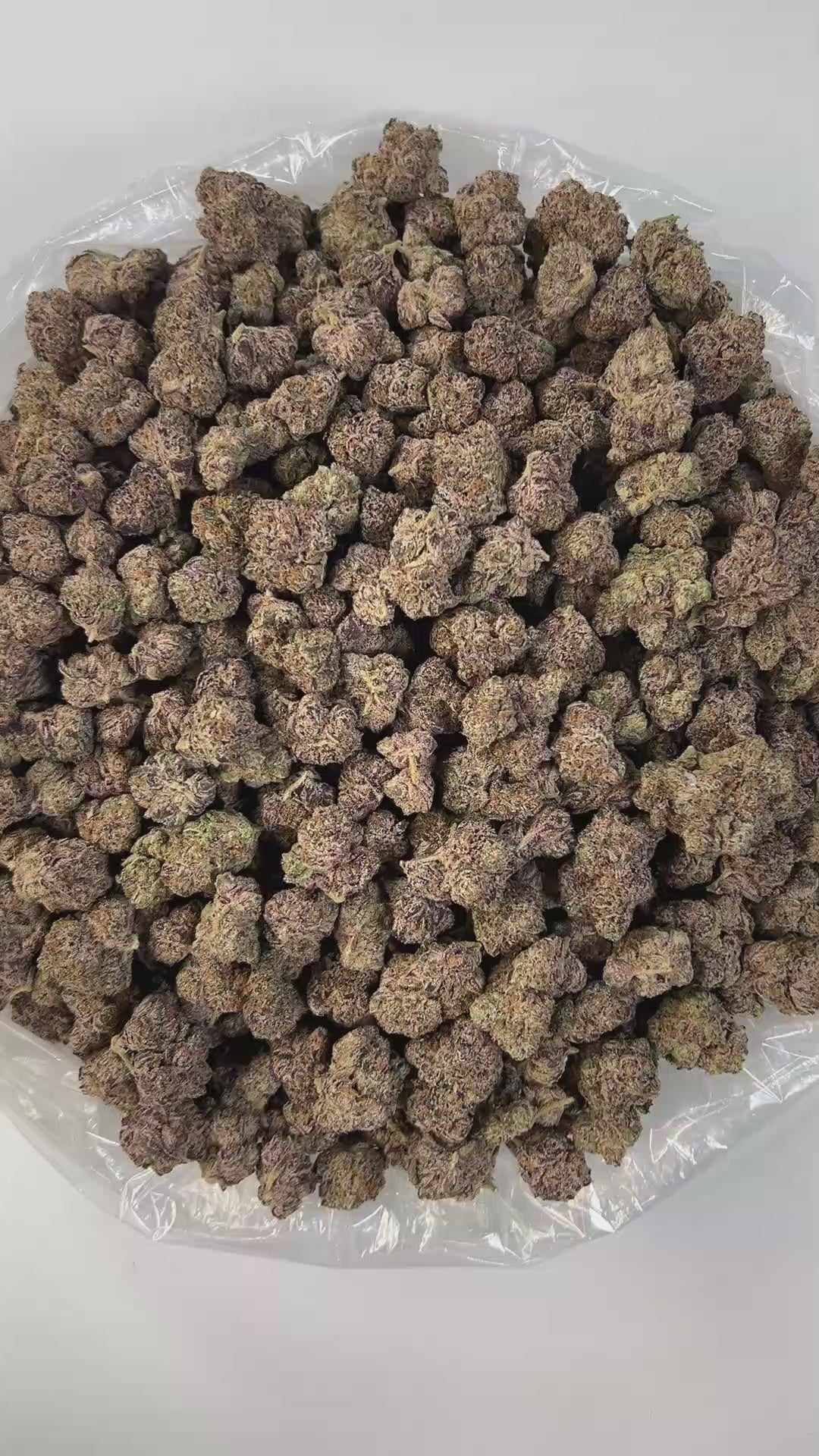 PUFFY Orange Cherry Gelato is a balanced hybrid THCa strain born from the flavorful cross of Trop Cookies and Lemon Cherry Gelato. This strain delivers a bold, complex aroma with sharp notes of chemicals and diesel, complemented by a burst of fresh oranges. The flavor profile is vibrant and citrus-forward, with bright lemon highlights and candy-like sweetness that leaves a lasting impression. Visually, the buds are dense and compact, showcasing a striking mix of deep greens, rich purples, and fiery orange p