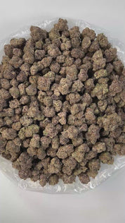 PUFFY Orange Cherry Gelato is a balanced hybrid THCa strain born from the flavorful cross of Trop Cookies and Lemon Cherry Gelato. This strain delivers a bold, complex aroma with sharp notes of chemicals and diesel, complemented by a burst of fresh oranges. The flavor profile is vibrant and citrus-forward, with bright lemon highlights and candy-like sweetness that leaves a lasting impression. Visually, the buds are dense and compact, showcasing a striking mix of deep greens, rich purples, and fiery orange p