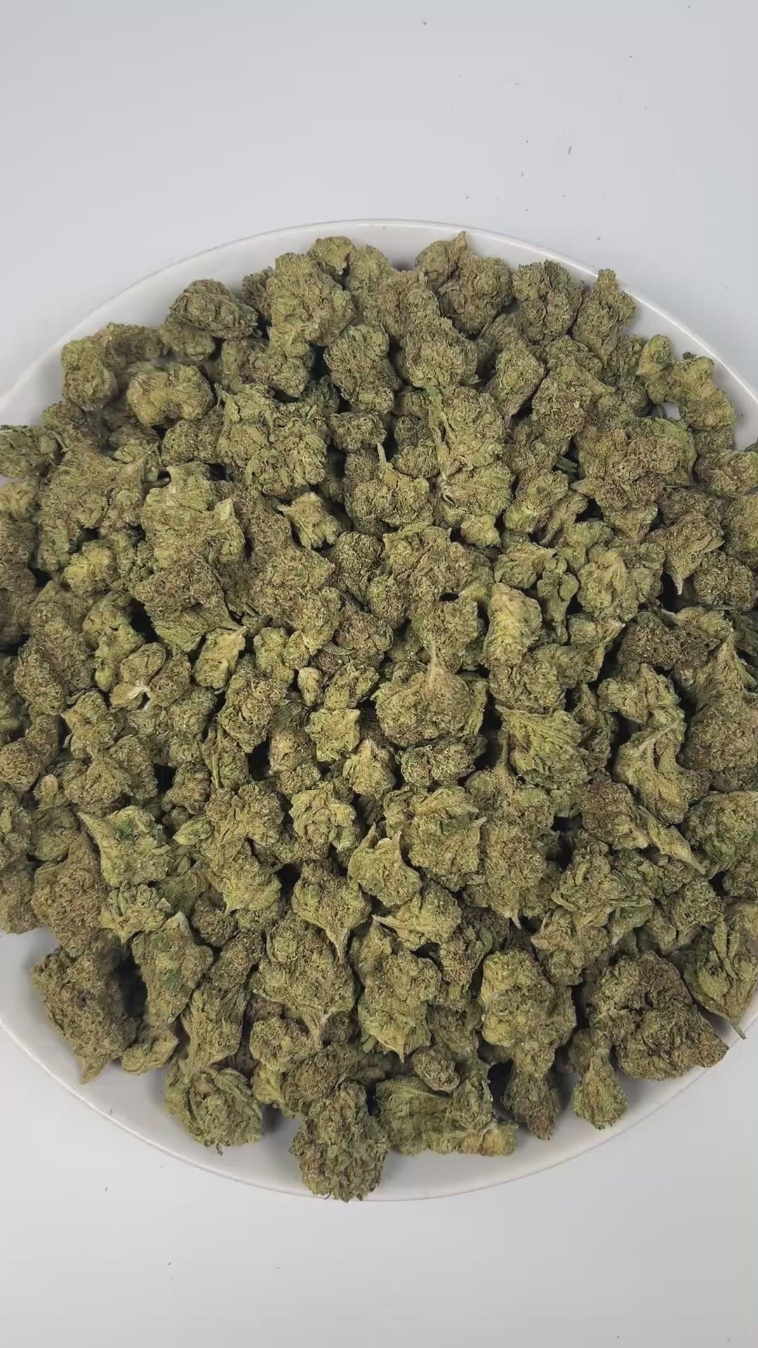 PUFFY Blue Nerdz is a balanced hybrid THCa strain, born from the fusion of Forbidden Fruit and Watermelon Z. The aroma bursts with sweet candy notes intertwined with ripe berries and a fresh piney finish, offering a delightful blend of fruity and forest-like scents. Visually, it features compact, bulbous buds in green and deep purple hues, highlighted by orange pistils and a thick frost of trichomes. Consumers often report an initial cerebral uplift characterized by euphoria, elevated mood, and a burst of c