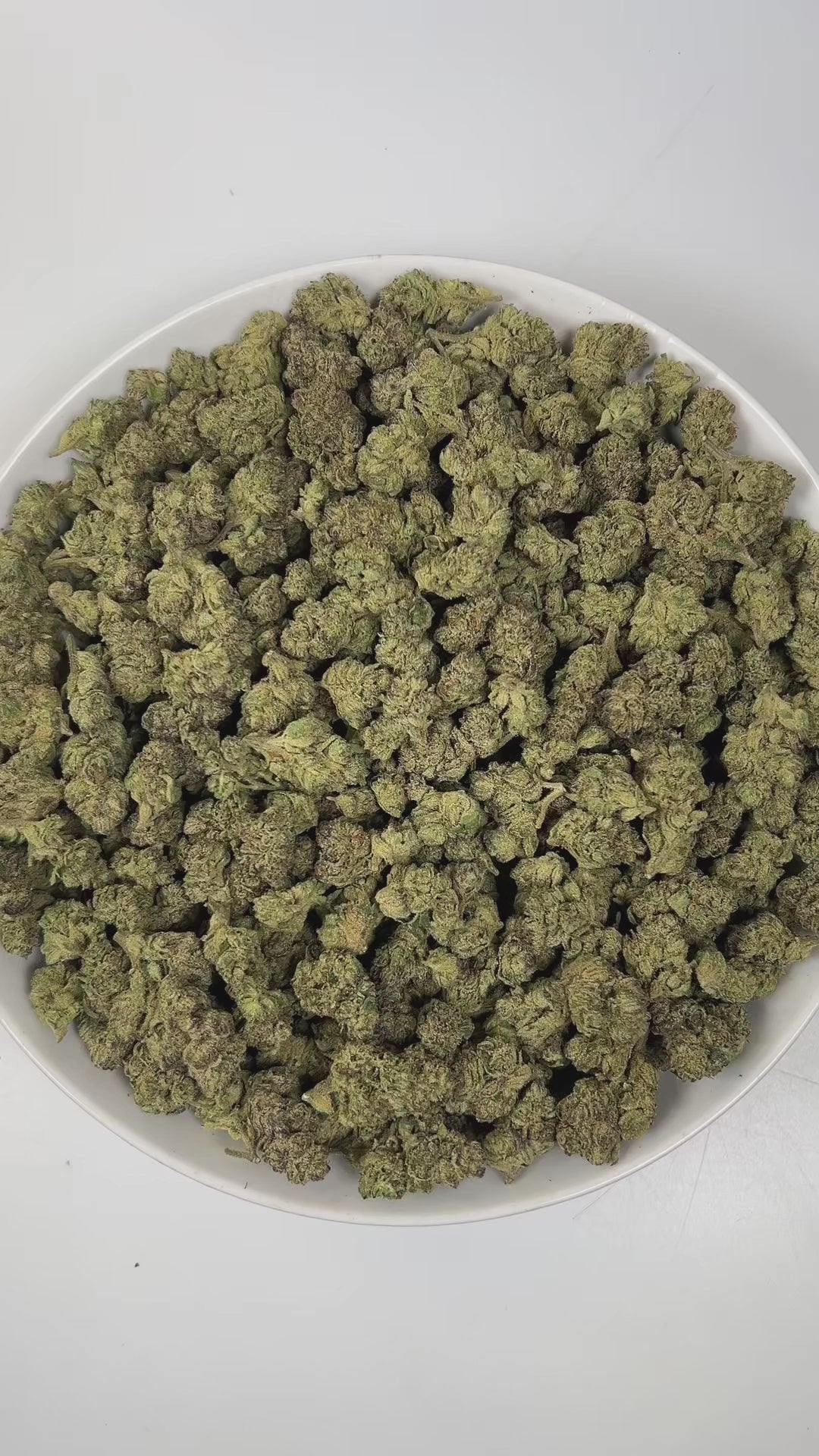 PUFFY Grape Stomper is a sativa-dominant hybrid THCa strain, born from a powerful cross between Purple Elephant and Chemdawg Sour Diesel. The aroma is a rich and enticing blend of sweet grape, soothing lavender, and a sharp, gassy undertone, creating a complex and memorable scent profile. Visually, dense pine green buds with purple hues and fiery orange pistils are coated in sticky trichomes. Consumers often report feeling a boost in mental clarity and creativity, heightened sociability, and a pleasantly ti