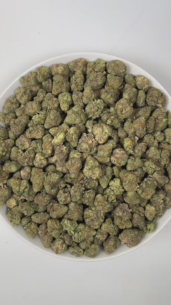 PUFFY Sherb BX1 is an indica-dominant hybrid THCa strain, created by expertly crossing Sherbet × backcross to Sherbet. The aroma is a refreshing blend of spearmint, complemented by crisp pine notes and subtle underlying chemical nuances, creating a distinctive and invigorating scent profile. Visually, dense pine green buds with purple hues and fiery orange pistils are coated in sticky trichomes. Consumers often report deep physical relaxation, a pronounced sense of euphoria, and a happy, content mental stat