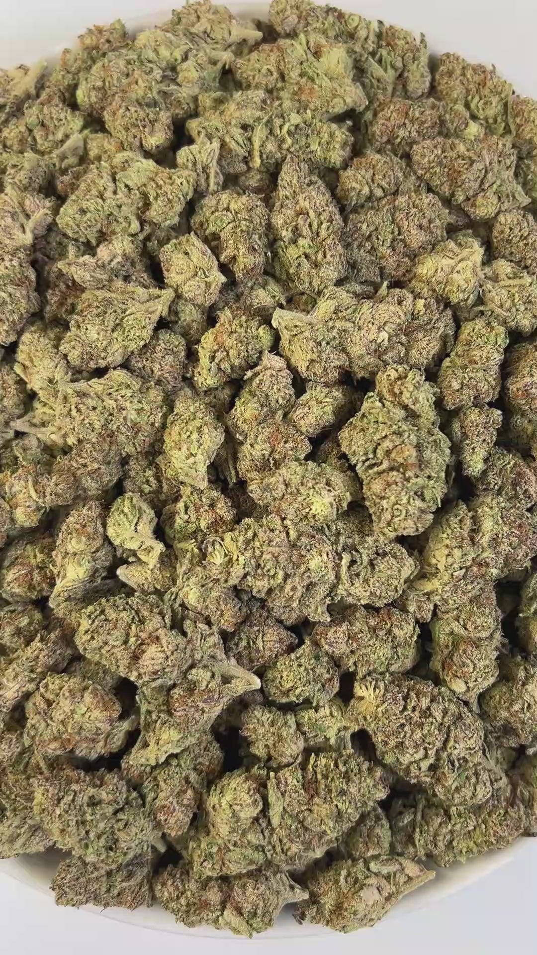 PUFFY Purple Punch is a popular indica-dominant hybrid THCa strain, born from the legendary pairing of Granddaddy Purple and Larry OG. The aroma is a vibrant mix of ripe, fruity sweetness balanced by warm, earthy undertones. Visually, the buds are thick and tightly packed, with a lush green backdrop streaked by vivid purples and violets, intertwined with fiery orange pistils and finished with a shimmering coat of crystalline trichomes. Consumers often experience an initial wave of cerebral euphoria that gen