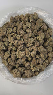 PUFFY High Society is a premium hybrid THCa strain born from the potent cross of GMO and Biscotti. This luxurious cultivar offers a richly earthy and woody aroma, evoking the scent of fresh forest soil and aged cedar, layered with subtle notes of warm spice. Its flavor profile is smooth and indulgent creamy with a nutty finish that lingers on the tongue. Visually, the buds are dense and frosty, showcasing deep purple and green hues, vibrant orange hairs, and a thick, sparkling coat of trichomes. Consumers o