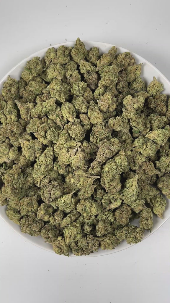 PUFFY Rainbow Candy is an indica-dominant hybrid THCa strain created by crossing ZKZ × Dosidos. The aroma entices with a sweet, candy-like scent, layered with fruity notes and a subtle earthy undertone. Visually striking, these buds are bold in size with layered green tones, fiery pistils, and a crystal-dusted surface that catches the eye. Consumers often report a deeply soothing body calm that melts away tension while simultaneously lifting the spirit into a joyful, euphoric state.
