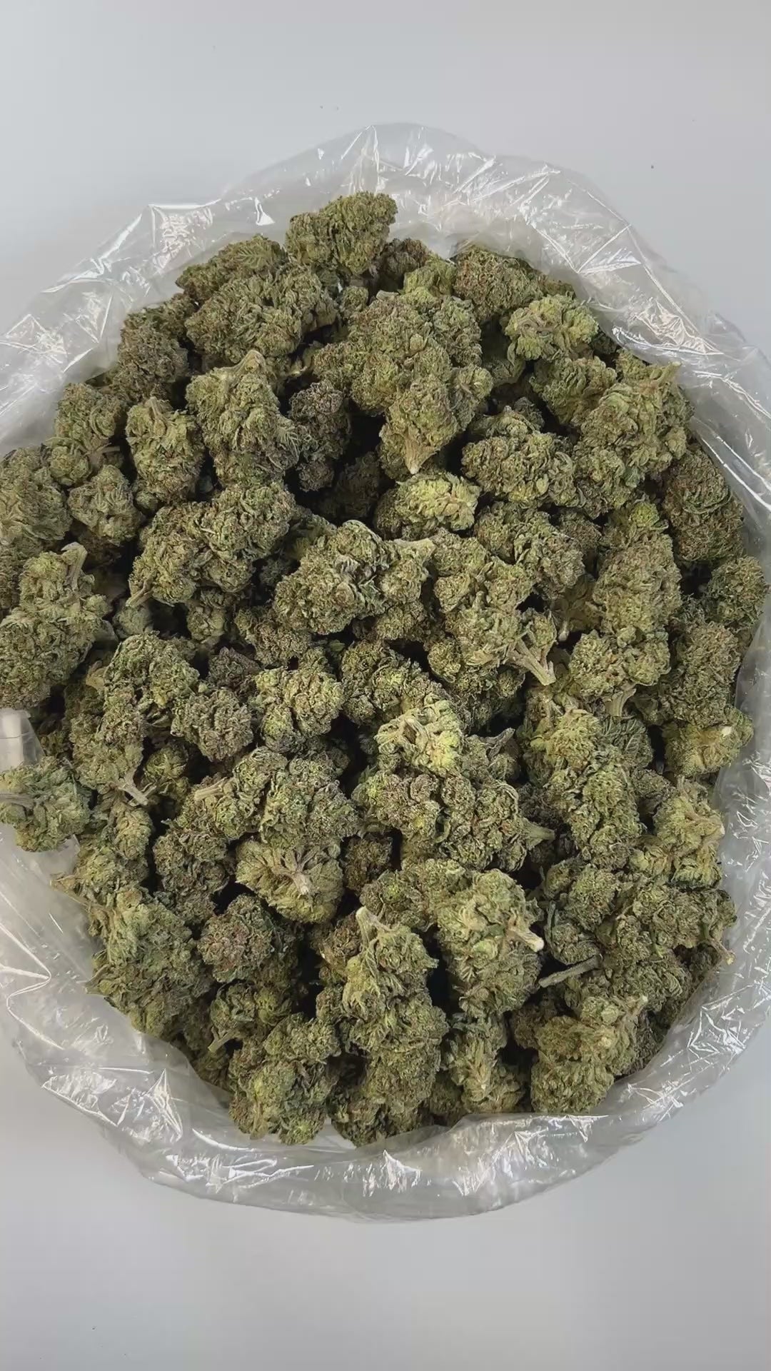 PUFFY Marathon OG is a potent indica-dominant hybrid THCa strain, crafted from the legendary OG Kush lineage, which includes either Chemdawg, Lemon Thai, or Hindu Kush. This strain boasts a rich, complex aroma that’s both earthy and gassy, while its flavor profile delivers a bold mix of pine, citrusy lemon, and spicy herbal notes. Visually, the buds are dense and deep forest green, accented by darker undertones, vivid bright orange pistils, and a thick coating of frosty white trichomes, signaling its high p