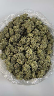 PUFFY Marathon OG is a potent indica-dominant hybrid THCa strain, crafted from the legendary OG Kush lineage, which includes either Chemdawg, Lemon Thai, or Hindu Kush. This strain boasts a rich, complex aroma that’s both earthy and gassy, while its flavor profile delivers a bold mix of pine, citrusy lemon, and spicy herbal notes. Visually, the buds are dense and deep forest green, accented by darker undertones, vivid bright orange pistils, and a thick coating of frosty white trichomes, signaling its high p