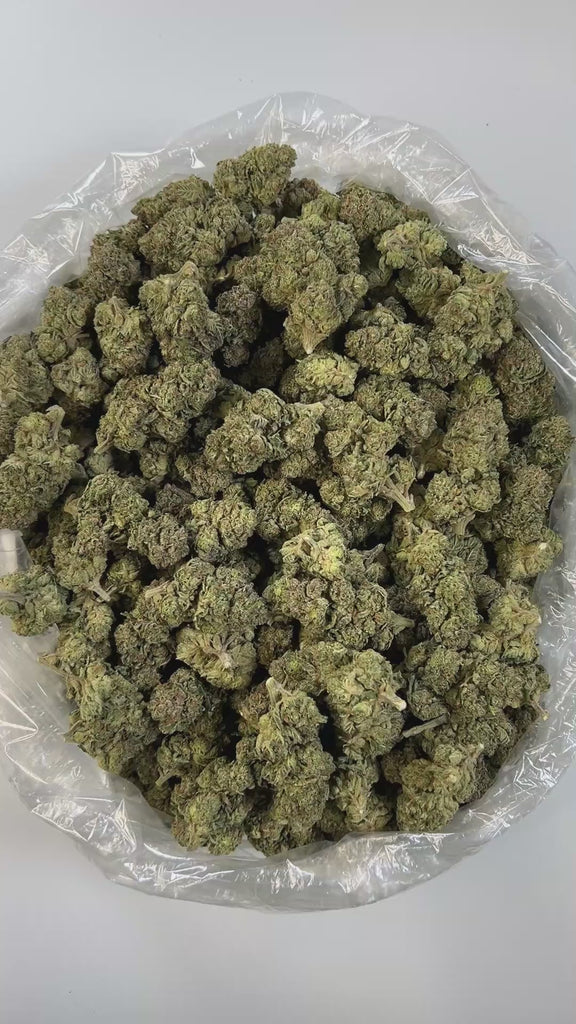 PUFFY Marathon OG is a potent indica-dominant hybrid THCa strain, crafted from the legendary OG Kush lineage, which includes either Chemdawg, Lemon Thai, or Hindu Kush. This strain boasts a rich, complex aroma that’s both earthy and gassy, while its flavor profile delivers a bold mix of pine, citrusy lemon, and spicy herbal notes. Visually, the buds are dense and deep forest green, accented by darker undertones, vivid bright orange pistils, and a thick coating of frosty white trichomes, signaling its high p
