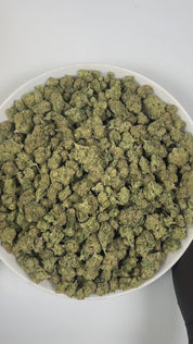 PUFFY Green Gelato is a balanced hybrid THCa strain, born from the elite pairing of Thin Mint Girl Scout Cookies and Sunset Sherbet. The aroma delights the senses with a harmonious blend of sweet grape, delicate floral notes, and a hint of creamy vanilla. Visually, it features dense, compact buds with deep green and purple hues, bright orange pistils, and a thick, frosty blanket of trichomes. Consumers often report an uplifted, clear, and creatively focused mental state paired with warm, relaxing body ease 