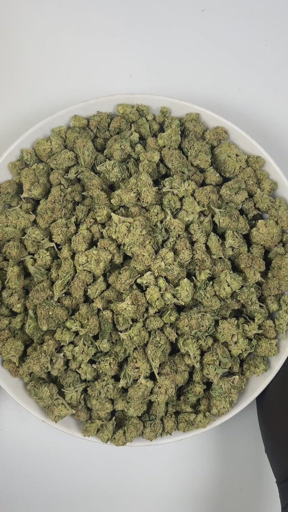 PUFFY Green Gelato is a balanced hybrid THCa strain, born from the elite pairing of Thin Mint Girl Scout Cookies and Sunset Sherbet. The aroma delights the senses with a harmonious blend of sweet grape, delicate floral notes, and a hint of creamy vanilla. Visually, it features dense, compact buds with deep green and purple hues, bright orange pistils, and a thick, frosty blanket of trichomes. Consumers often report an uplifted, clear, and creatively focused mental state paired with warm, relaxing body ease 