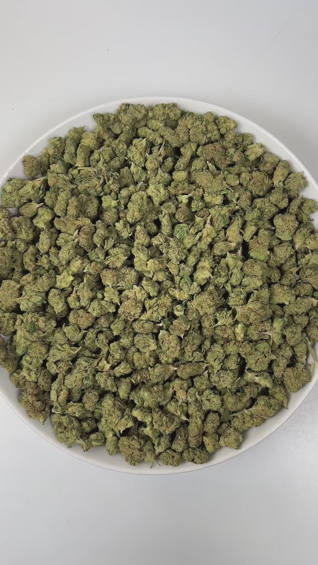 PUFFY Candy Rain (smalls) is an indica-dominant hybrid THCa strain, crafted from the flavorful cross of London Pound Cake × Gelato. The aroma is a bold and playful blend of sweet candy, tangy sour notes, and rich, dank undertones, creating a vibrant and memorable scent profile. Visually, dense green buds with purple hues and fiery orange pistils are coated in sticky trichomes. Consumers often report experiencing a happy and euphoric mood, accompanied by relaxed, calm body sensations and uplifted, giggly fee