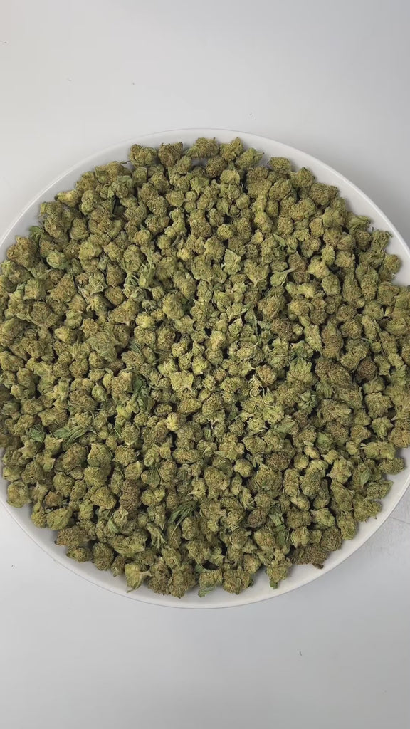 PUFFY 41 Cherries (smalls) is an indica-dominant hybrid THCa strain, expertly crafted from the renowned Gelato #41 and Black Cherry Gelato. The aroma bursts with zesty citrus, tangy sour notes, and a pungent gassy undertone. Visually, dense pine green buds with purple hues and fiery orange pistils are coated in sticky trichomes. Consumers often report a gradually building high that begins with euphoric, uplifting sensations and transitions into deep body relaxation.
