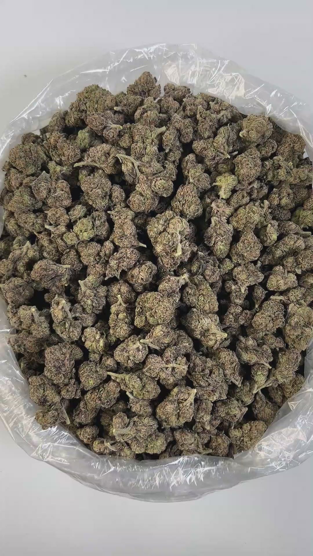PUFFY Cherry Sunset is a premium hybrid THCa strain, artfully bred from the flavorful genetics of Cherry Pie and Sunset Sherbet. It has a rich, pleasant smell with citrusy limonene, peppery caryophyllene, and hints of mint or flowers. The flavor is mostly fruity cherry, with touches of citrus, tropical sweetness, mint, and spice, making it tasty and complex. Visually striking, it features dense buds with vibrant purple hues, bright orange hairs, and a heavy coating of glistening resin. Consumers describe it