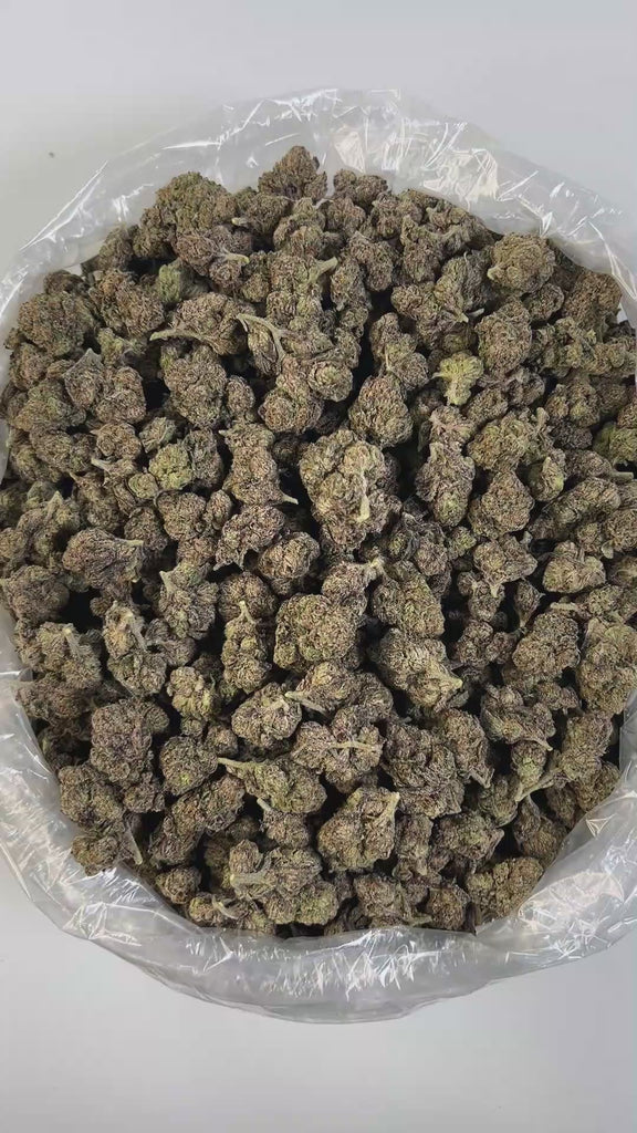 PUFFY Cherry Sunset is a premium hybrid THCa strain, artfully bred from the flavorful genetics of Cherry Pie and Sunset Sherbet. It has a rich, pleasant smell with citrusy limonene, peppery caryophyllene, and hints of mint or flowers. The flavor is mostly fruity cherry, with touches of citrus, tropical sweetness, mint, and spice, making it tasty and complex. Visually striking, it features dense buds with vibrant purple hues, bright orange hairs, and a heavy coating of glistening resin. Consumers describe it