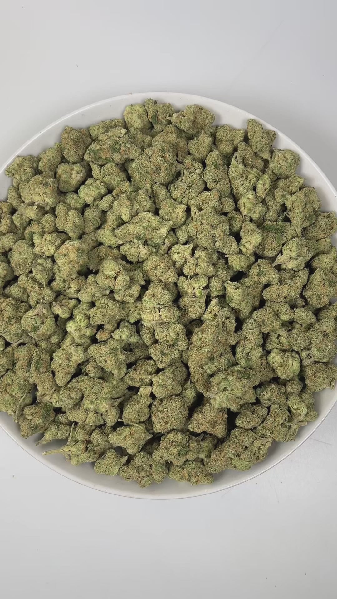 PUFFY Lemon Batter is an indica-dominant hybrid THCa strain, created from the fusion of Banana Punch GMO × Gorilla Diesel. The aroma is a sharp and zesty lemon, layered with pungent diesel notes and subtle chemical undertones, creating a bold, electrifying, and unmistakably intense scent profile. Visually, dense green buds with purple hues and fiery orange pistils are coated in sticky trichomes. Consumers often report that this strain provides a soothing, calming effect on the body while offering a balanced