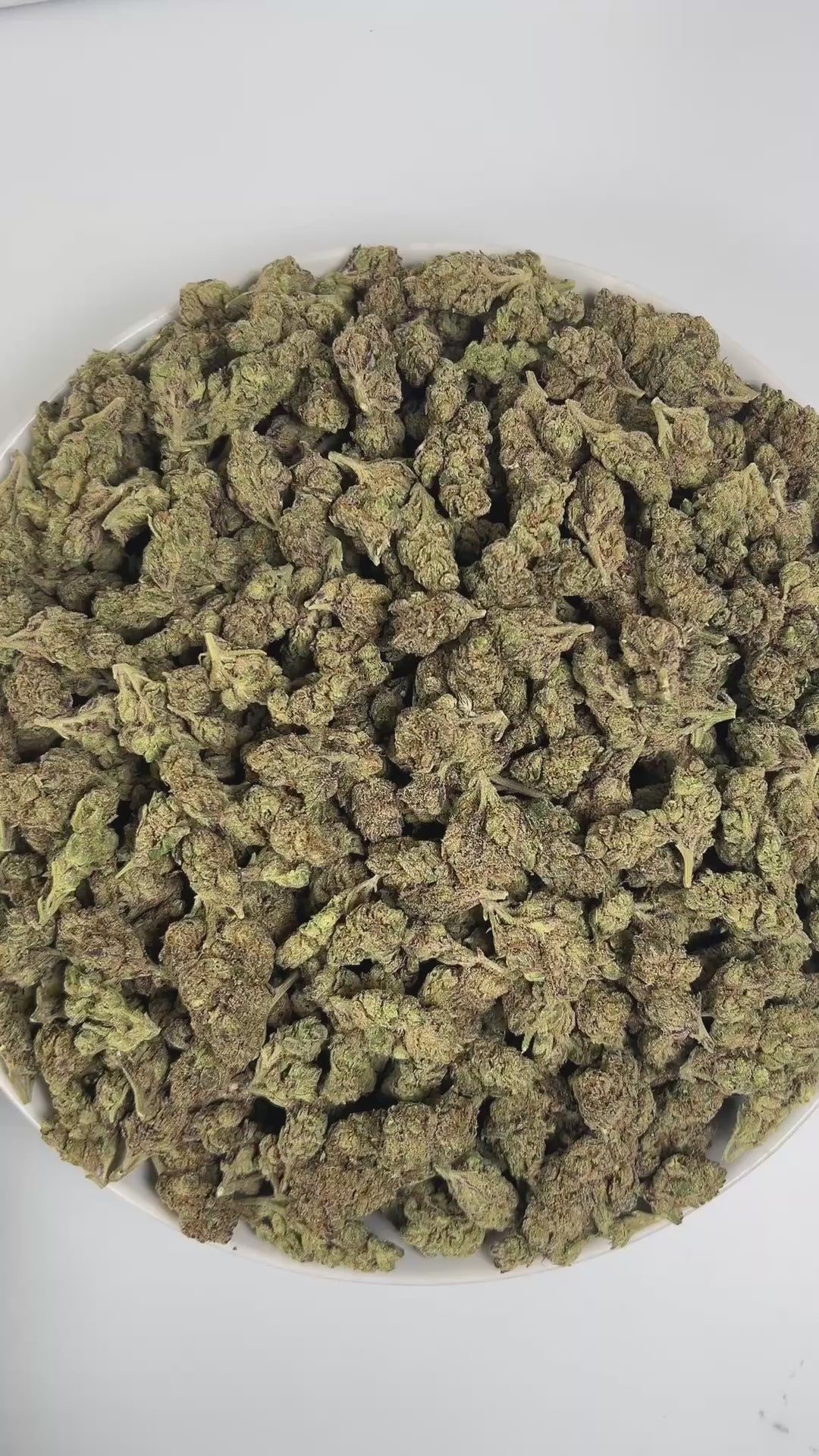 PUFFY Lemon Gushers is an indica-dominant hybrid THCa strain, born from the renowned cross of Gelato 41 and Triangle Kush. The aroma is a delightful blend of sweet candy and zesty lemon‑berry notes, grounded by subtle earthy undertones. Visually, the buds are dense and light green with hints of purple, accented by vibrant orange pistils and coated in a sparkling layer of trichomes. Consumers often report a rapid uplift in mood and a sense of mental clarity, followed by a warm, relaxing body sensation.
