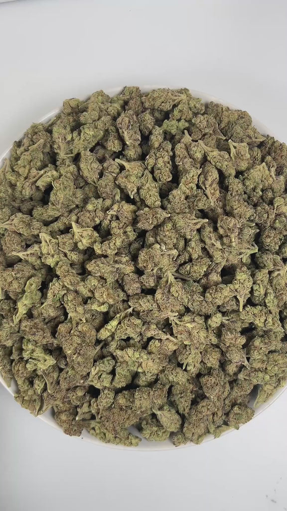 PUFFY Lemon Gushers is an indica-dominant hybrid THCa strain, born from the renowned cross of Gelato 41 and Triangle Kush. The aroma is a delightful blend of sweet candy and zesty lemon‑berry notes, grounded by subtle earthy undertones. Visually, the buds are dense and light green with hints of purple, accented by vibrant orange pistils and coated in a sparkling layer of trichomes. Consumers often report a rapid uplift in mood and a sense of mental clarity, followed by a warm, relaxing body sensation.
