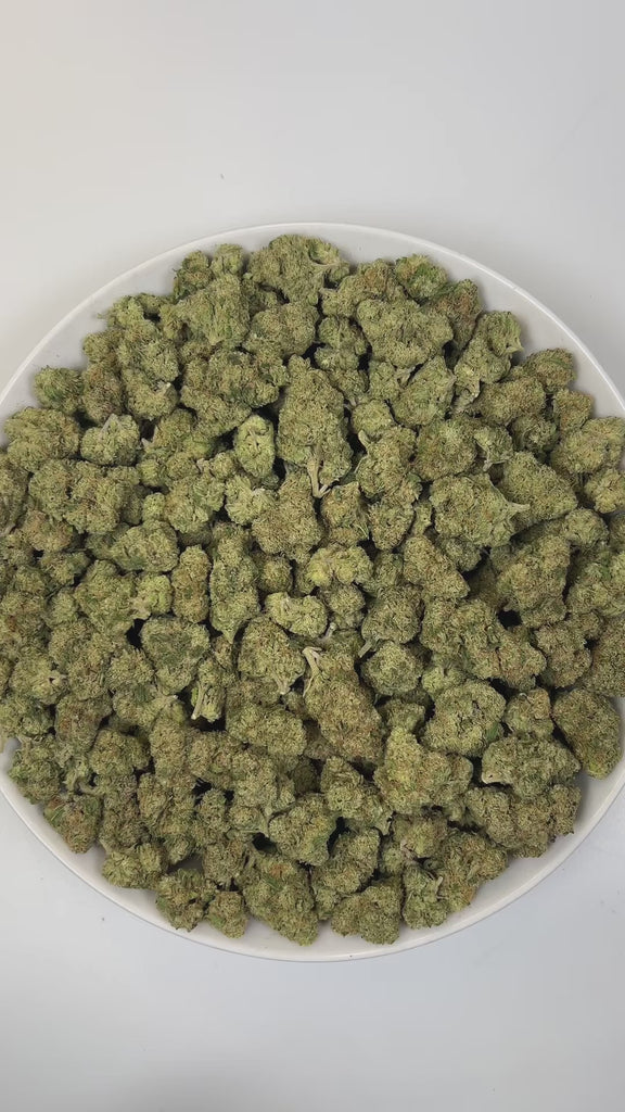 PUFFY Bluephoria is a balanced hybrid THCa strain, born from the renowned cross of Glitter Bomb × Good Greens Candy. The aroma is pungent and gassy, with bright bursts of berry and a zesty lime twist. Visually, dense deep green buds with purple hues and fiery orange pistils are coated in sticky trichomes. Consumers often report an invigorating mental lift that fuels creativity and social moments, while a smooth, relaxing body buzz melts away tension.