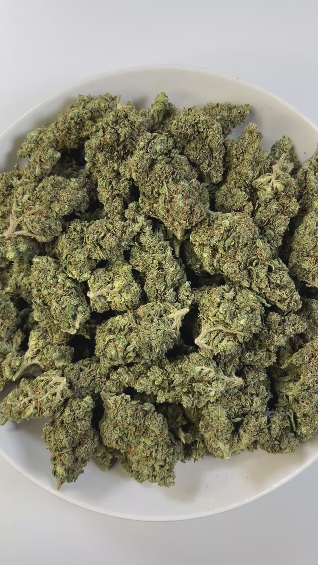 PUFFY GMO is a potent indica-dominant hybrid THCa strain, born from the legendary cross of Girl Scout Cookies and Chemdawg. The aroma opens with pungent onion notes, layered with fresh herbal undertones and crisp hints of pine. Visually, the buds are dense and sticky, showcasing a striking mix of dark green and purple hues, drenched in thick crystalline trichomes and accented by fiery orange pistils. Consumers often report a deeply relaxing and calming effect that begins with a euphoric lift, then gradually