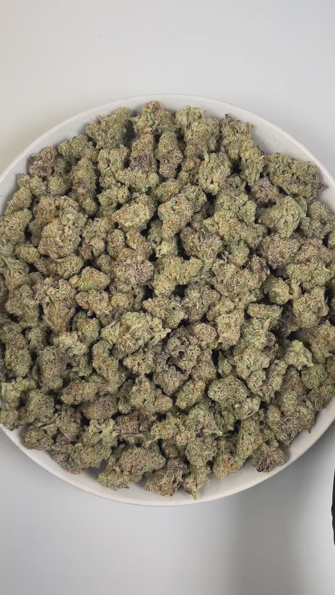 PUFFY MAC 1 (Miracle Alien Cookies) is a balanced hybrid THCa strain, born from the flavorful cross of Alien Cookies F2 with a Miracle 15. The aroma greets the senses with a musky base, zesty citrus highlights, and a sharp, sour edge. Visually captivating, the buds are thick and resinous, shimmering with frosty trichomes, while vibrant orange pistils thread through shades of dark green and purple. Consumers often report it delivers cerebral uplift and body relaxation, with effects that are euphoric, creativ