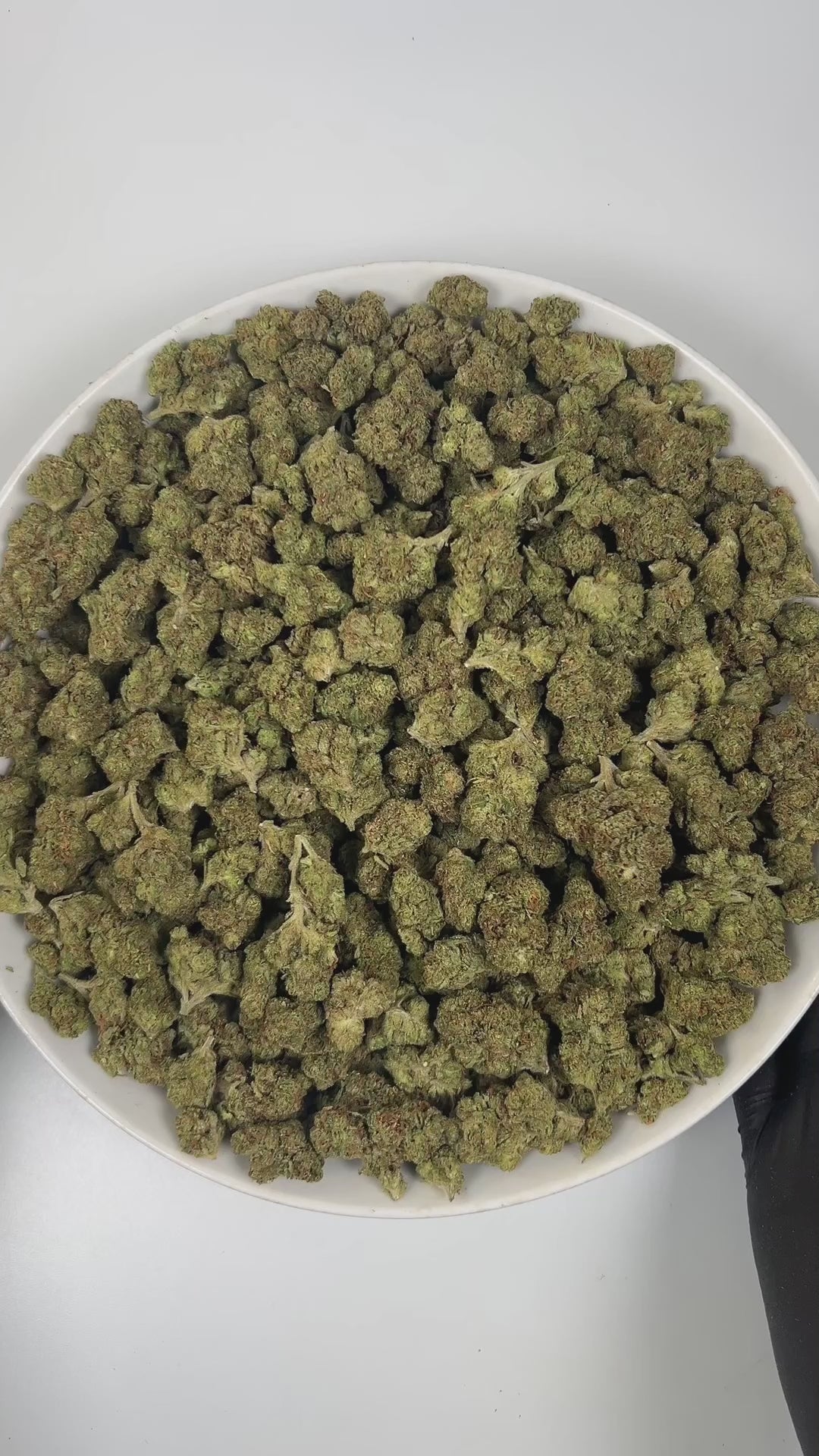 PUFFY Sour Diesel is a sativa-dominant hybrid THCa strain, born from the pairing of Chemdawg and Super Skunk. The aroma combines bright citrus notes with pungent diesel and a hint of spicy undertones. Visually, this strain features dense light-green buds accented by vibrant orange pistils and a thick, frosty layer of trichomes. Consumers often report that this strain enhances mood, sharpens focus, and sparks creativity with its uplifting, cerebral, and energizing effects.