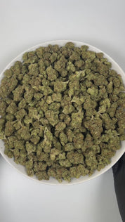 PUFFY Sour Diesel is a sativa-dominant hybrid THCa strain, born from the pairing of Chemdawg and Super Skunk. The aroma combines bright citrus notes with pungent diesel and a hint of spicy undertones. Visually, this strain features dense light-green buds accented by vibrant orange pistils and a thick, frosty layer of trichomes. Consumers often report that this strain enhances mood, sharpens focus, and sparks creativity with its uplifting, cerebral, and energizing effects.