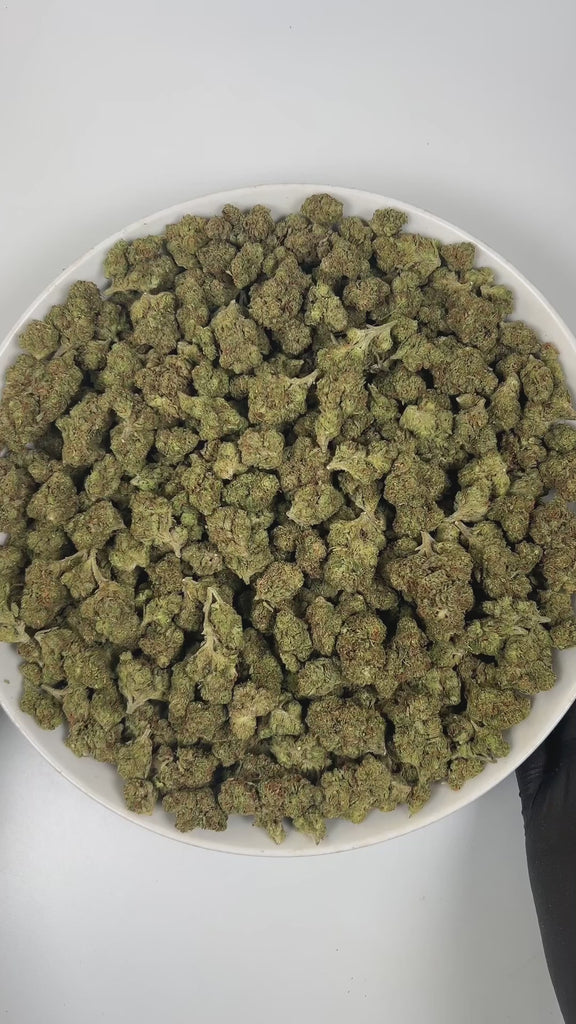 PUFFY Sour Diesel is a sativa-dominant hybrid THCa strain, born from the pairing of Chemdawg and Super Skunk. The aroma combines bright citrus notes with pungent diesel and a hint of spicy undertones. Visually, this strain features dense light-green buds accented by vibrant orange pistils and a thick, frosty layer of trichomes. Consumers often report that this strain enhances mood, sharpens focus, and sparks creativity with its uplifting, cerebral, and energizing effects.