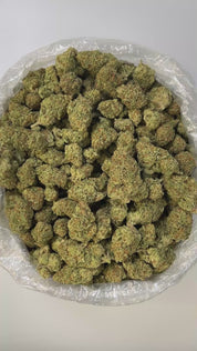 PUFFY Papaya is a premium hybrid THCa strain created from a cross between Citral #13 and Ice #2. The aroma unfolds with the lush scent of fermented apricots, layered with vibrant fruity brightness and soft, delicate floral undertones that linger gracefully. Visually, this strain showcases dense, compact buds in shades of bright to deep lime green, heavily coated in white, milky trichomes that give it a frosty appearance. Consumers often describe the effects as euphoric and uplifting, with a gentle cere