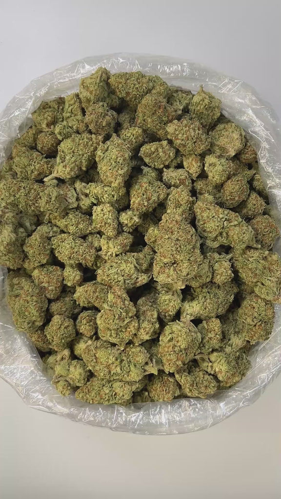PUFFY Papaya is a premium hybrid THCa strain created from a cross between Citral #13 and Ice #2. The aroma unfolds with the lush scent of fermented apricots, layered with vibrant fruity brightness and soft, delicate floral undertones that linger gracefully. Visually, this strain showcases dense, compact buds in shades of bright to deep lime green, heavily coated in white, milky trichomes that give it a frosty appearance. Consumers often describe the effects as euphoric and uplifting, with a gentle cere
