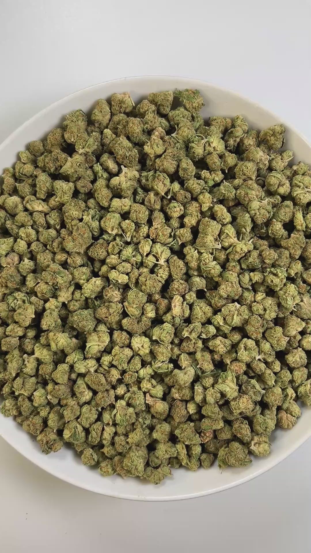 PUFFY Gelato 25 (smalls) is an indica-dominant hybrid THCa strain, born from the renowned cross of Thin Mint Girl Scout Cookies and Sunset Sherbet. The aroma bursts with sweet, fruity notes layered over a pungent, gassy undertone. Visually, dense buds show bright green hues, orange pistils, and a frosty trichome finish. Consumers often experience a calming wave of contentment, uplifted spirits, and a boost in appetite, with effects that seamlessly blend gentle mental invigoration and soothing physical ease.