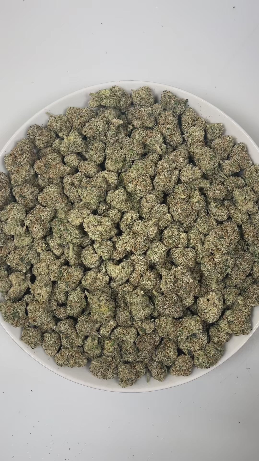 PUFFY Bolo Runtz is an indica-dominant hybrid THCa strain, born from the legendary pairing of Gelato and ZKZ. The aroma is a bold blend of fruity notes, sharp chemical undertones, and a pungent intensity that immediately captures the senses. Visually, the buds are dense and vibrant, showcasing vivid green and deep purple hues, accented by bright orange pistils and a generous coating of sparkling trichomes. Consumers often report a balanced high that begins with a euphoric cerebral lift and gradually settles