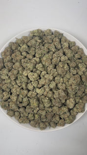 PUFFY Bolo Runtz is an indica-dominant hybrid THCa strain, born from the legendary pairing of Gelato and ZKZ. The aroma is a bold blend of fruity notes, sharp chemical undertones, and a pungent intensity that immediately captures the senses. Visually, the buds are dense and vibrant, showcasing vivid green and deep purple hues, accented by bright orange pistils and a generous coating of sparkling trichomes. Consumers often report a balanced high that begins with a euphoric cerebral lift and gradually settles