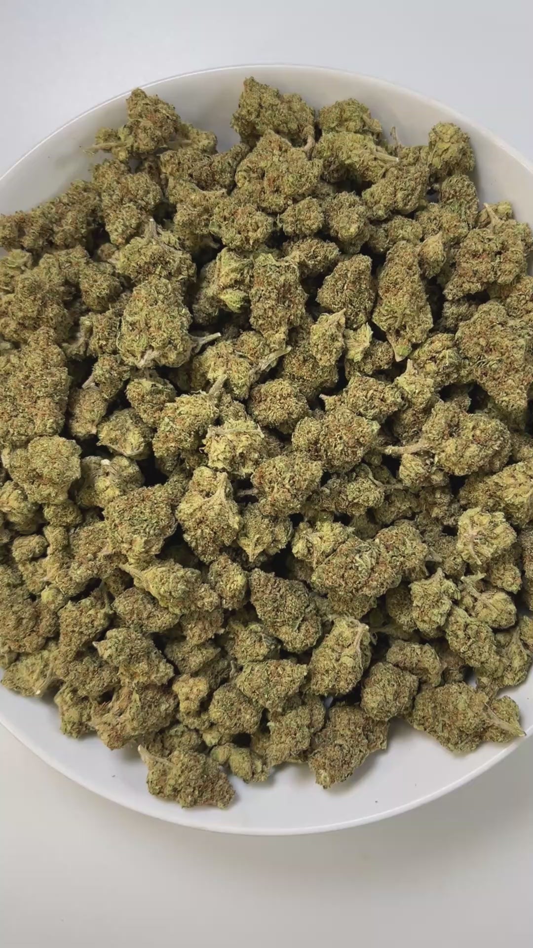 PUFFY Shake Shack is a balanced hybrid THCa strain, born from the flavorful cross of Ice Cream Cake × OG Fruit Smoothie. The aroma combines sharp diesel notes with a cool, minty freshness and a strong gassy undertone. Visually, the buds are dense and chunky, showing forest-green tones with frosty trichomes and subtle orange-amber pistils for contrast. Consumers often describe a soothing full-body relaxation paired with a calm, clear mind, while others note uplifting effects that boost mood, spark euphoria, 